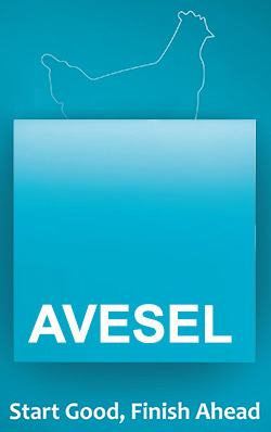 Thumbnail Image 1